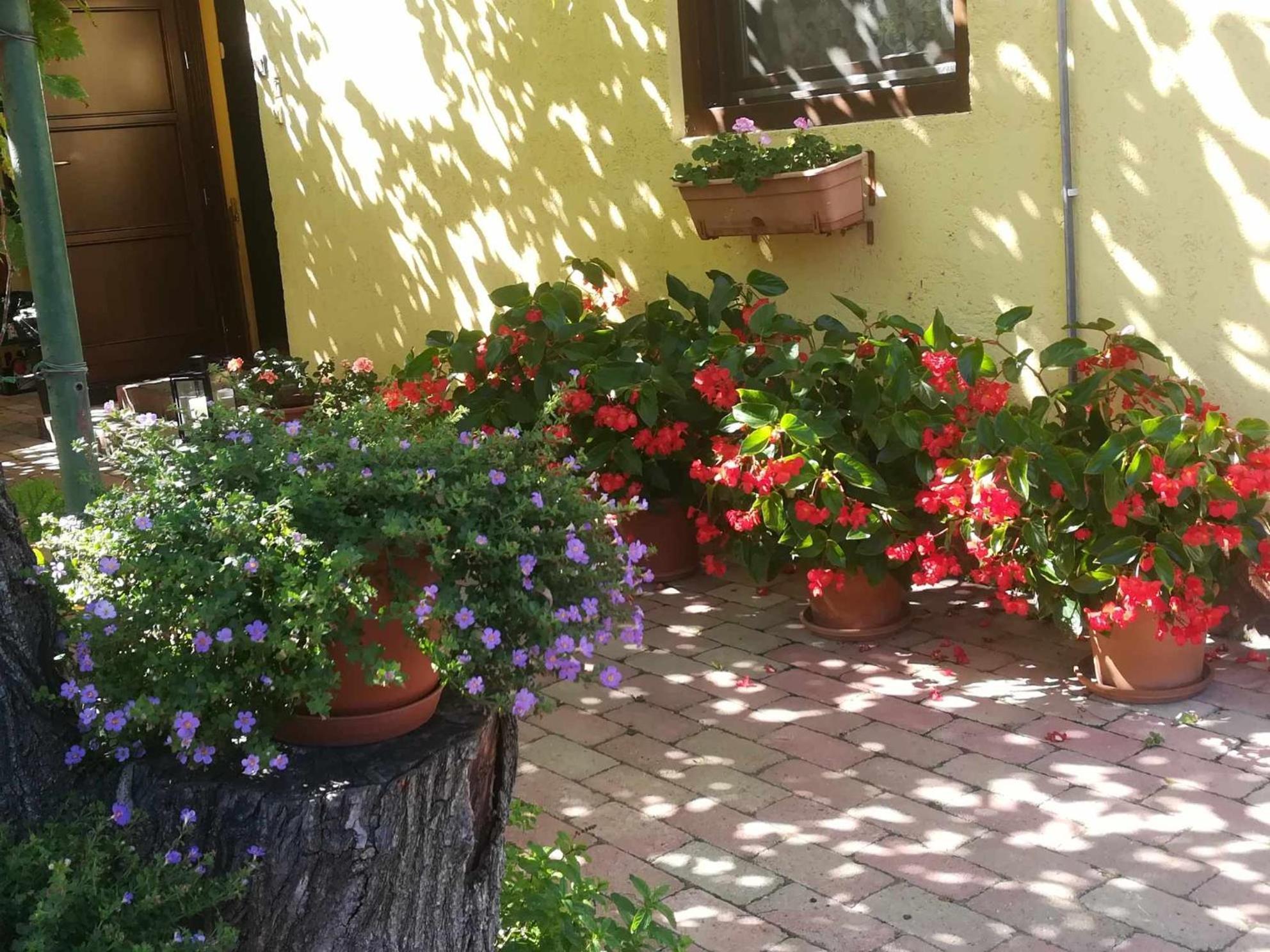 Apartmán Muskátlis Ház Balatonlelle Exteriér fotografie